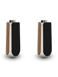 BEOLAB 50